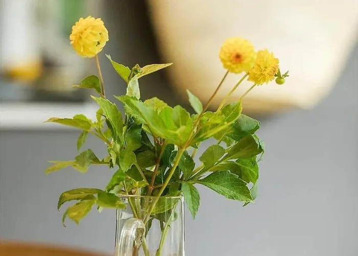 1555-dronningmolle-slaenvangen-34 Semesterbostad